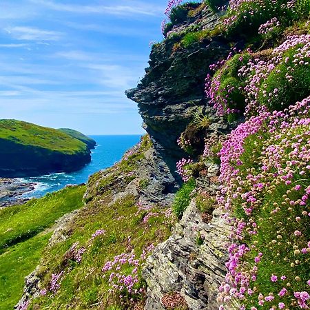 Polrunny Farm Blackberry Cottage - Cornwall Bliss In Sight Of The Sea Boscastle Exterior foto
