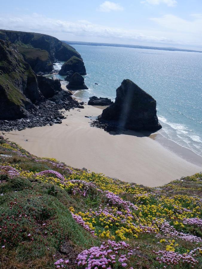 Polrunny Farm Blackberry Cottage - Cornwall Bliss In Sight Of The Sea Boscastle Exterior foto