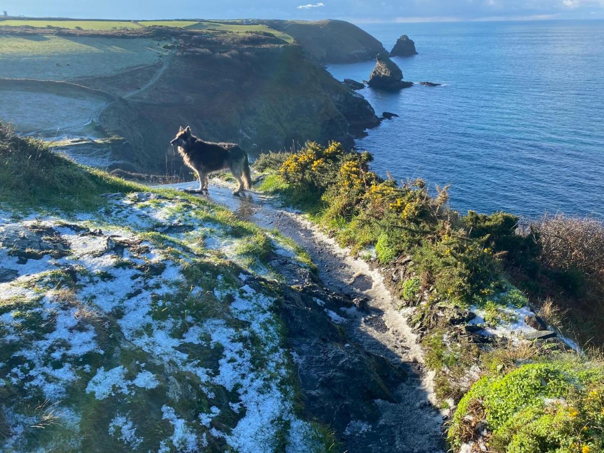 Polrunny Farm Blackberry Cottage - Cornwall Bliss In Sight Of The Sea Boscastle Exterior foto